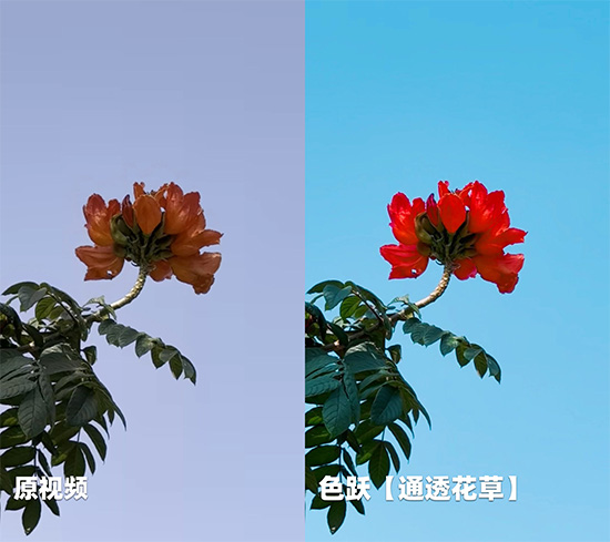 08.jpg 08.jpg